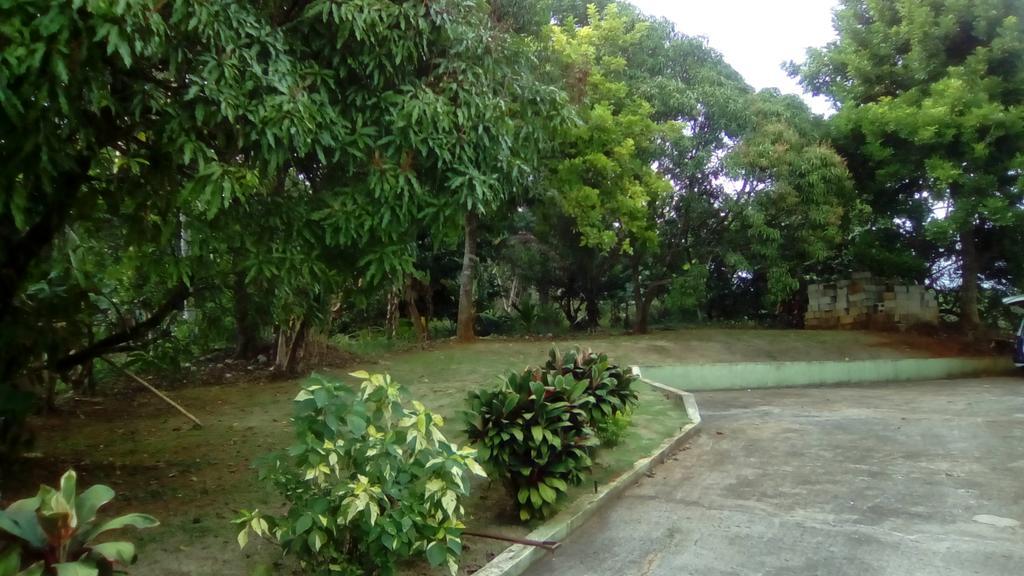 Griffiths Guest House White Hill Ngoại thất bức ảnh